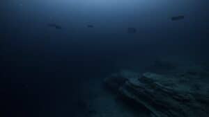 Abyssopelagic Zone scene with minimal bioluminescent fish, tripod fish, and floating marine snow in dark, extreme deep-sea waters 4000–6000 meters below the surface.