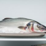 “Fresh branzino fish stored properly in a refrigerator on ice.”