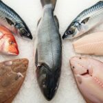 Branzino compared with multiple popular fish varieties on a seafood display.